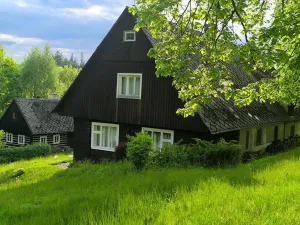Prodej chalupy, Kounov - Nedvězí, 267 m2