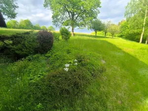 Prodej chalupy, Kounov - Nedvězí, 267 m2