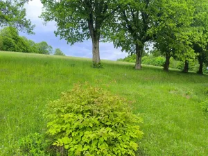 Prodej chalupy, Kounov - Nedvězí, 267 m2