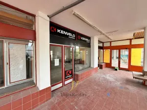 Prodej obchodního prostoru, Bruntál, Jesenická, 2199 m2
