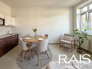 Prodej bytu 1+kk, Brno, Svitavská, 29 m2
