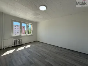 Pronájem bytu 2+1, Most, Jaroslava Vrchlického, 55 m2