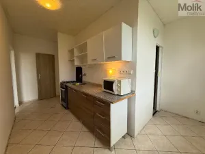 Pronájem bytu 3+1, Bílina - Teplické Předměstí, Sídliště Za Chlumem, 66 m2