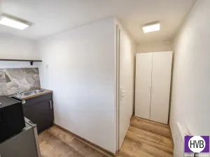 Pronájem bytu 1+kk, Praha, Přetlucká, 25 m2