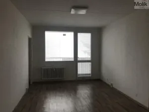 Pronájem bytu 3+1, Bílina - Pražské Předměstí, Alšova, 55 m2