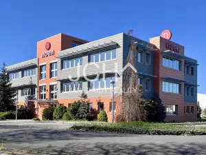 Pronájem ordinace, Uničov, Litovelská, 22 m2