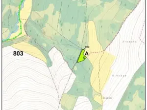 Prodej lesa, Přáslavice, 2463 m2