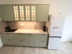 Pronájem bytu 1+1, Praha - Nusle, Na Pankráci, 56 m2