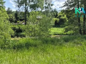 Pronájem zahrady, Sadov, 3000 m2