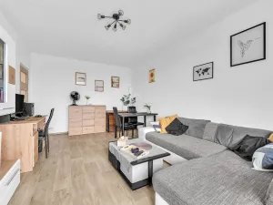 Prodej bytu 2+1, Světlá nad Sázavou, Na Bradle, 59 m2