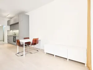 Pronájem bytu 1+kk, Praha - Žižkov, Hartigova, 45 m2