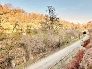 Pronájem bytu 1+kk, Praha - Žižkov, Hartigova, 45 m2