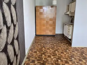 Prodej bytu 1+kk, Litvínov - Hamr, Na Kopci, 34 m2