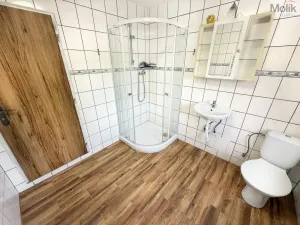 Pronájem bytu 3+1, Háj u Duchcova, Kubátova, 95 m2