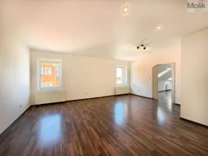 Pronájem bytu 3+1, Háj u Duchcova, Kubátova, 95 m2