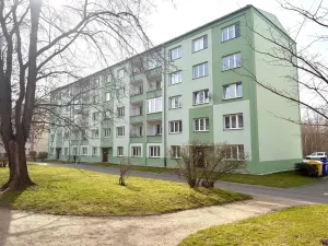 Pronájem bytu 2+1, Cheb, 17. listopadu, 54 m2
