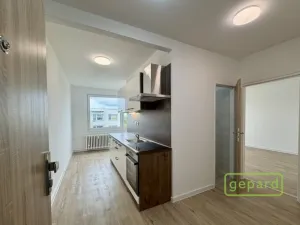 Pronájem bytu 2+1, Veselí nad Lužnicí, K Zastávce, 55 m2