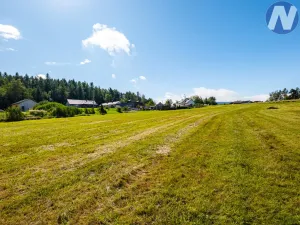 Prodej pozemku pro bydlení, Nebahovy - Zdenice, 2943 m2