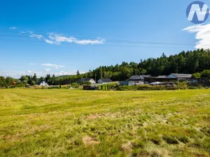 Prodej pozemku pro bydlení, Nebahovy - Zdenice, 2943 m2