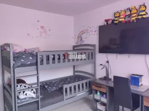 Prodej bytu 3+1, Benešov nad Ploučnicí, Děčínská, 65 m2