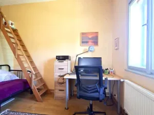 Prodej bytu 3+kk, Branice, 60 m2