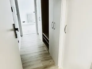 Pronájem bytu 1+kk, Plzeň, Pilařská, 40 m2