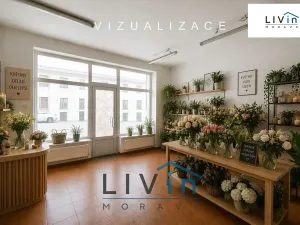 Pronájem obchodního prostoru, Olomouc, Smrčkova, 32 m2