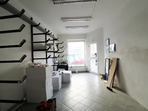 Prodej činžovního domu, Plzeň, Pod Všemi svatými, 450 m2