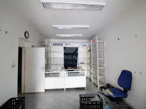 Prodej činžovního domu, Plzeň, Pod Všemi svatými, 450 m2