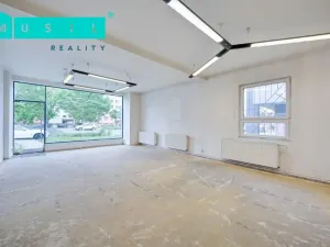 Pronájem komerční nemovitosti, Olomouc - Nové Sady, Werichova, 542 m2
