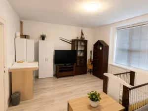 Pronájem bytu 2+kk, Teplice - Trnovany, Karla Aksamita, 51 m2