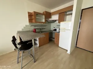 Pronájem bytu 1+kk, Český Těšín, Slezská, 31 m2