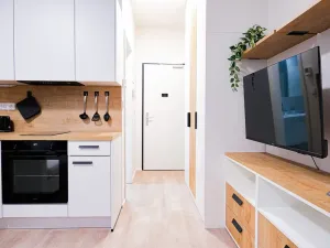 Prodej bytu 2+kk, Praha - Smíchov, Plzeňská, 33 m2