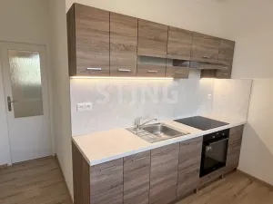 Pronájem bytu 3+1, Český Těšín, Ostravská, 65 m2