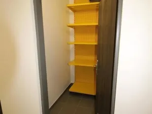 Pronájem bytu 1+kk, Olomouc, Wolkerova, 33 m2