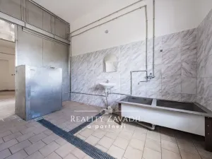 Prodej výrobních prostor, Koleč, 940 m2