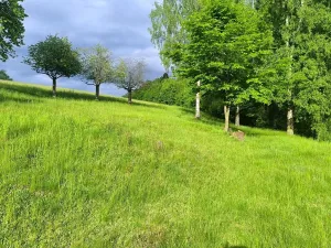 Prodej chalupy, Kounov, 267 m2
