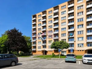 Pronájem bytu 3+1, Jindřichův Hradec - Jindřichův Hradec III, sídliště Vajgar, 65 m2
