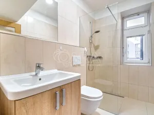 Pronájem bytu 1+1, Moravská Ostrava, Sokolská třída, 43 m2
