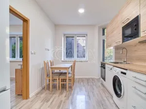 Pronájem bytu 1+1, Moravská Ostrava, Sokolská třída, 43 m2