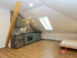 Prodej bytu 4+kk, Žďár nad Sázavou - Žďár nad Sázavou 5, Vysocká, 154 m2