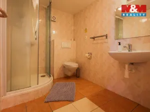 Prodej obchodního prostoru, Kravaře, Opavská, 1355 m2