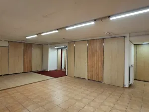 Pronájem obchodního prostoru, Brno, Masarykova, 504 m2