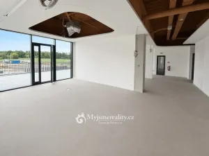 Pronájem kanceláře, Dyje, 270 m2