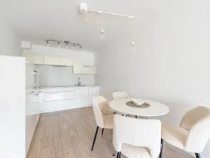 Pronájem bytu 2+kk, Praha - Karlín, U Mlýnského kanálu, 58 m2