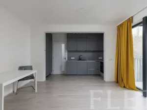 Pronájem bytu 1+kk, Praha - Žižkov, Hartigova, 37 m2