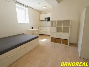 Pronájem bytu 1+kk, Brno, Vodní, 20 m2