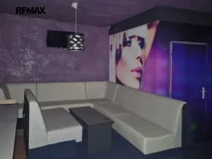 Pronájem obchodního prostoru, Svitavy, Soudní, 230 m2