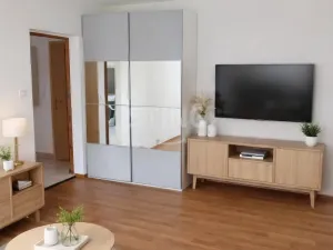 Pronájem bytu 1+1, Ostrava, Krestova, 41 m2