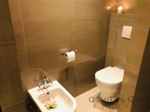 Pronájem bytu 2+kk, Praha - Josefov, Bílkova, 37 m2